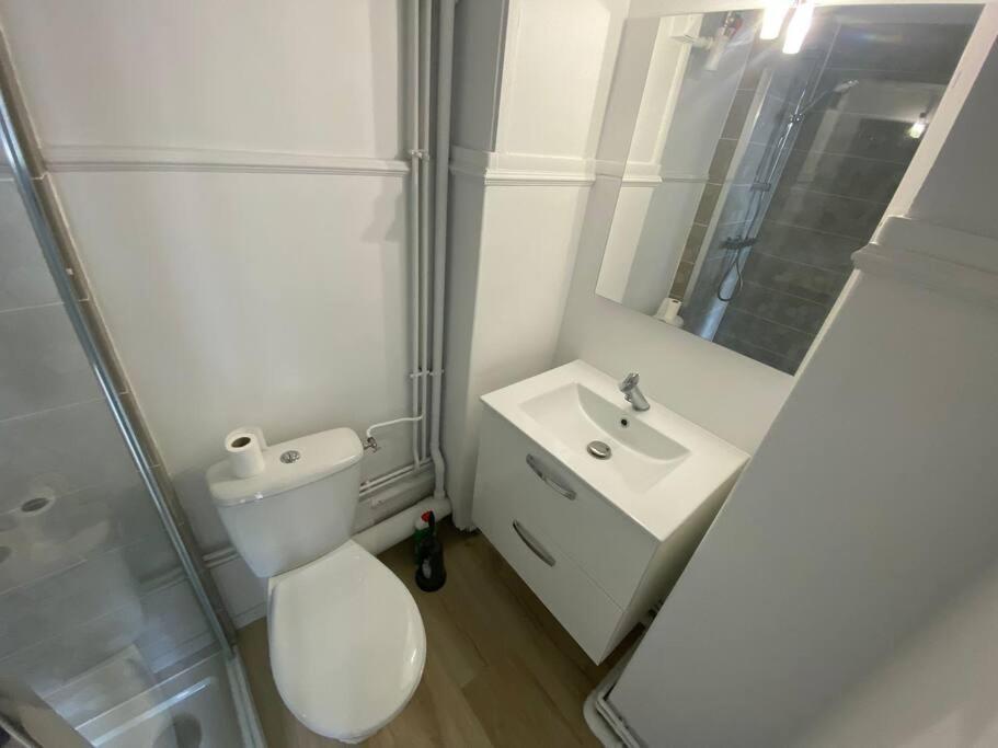 Le Mimosa B Avec Salle De Sport アミアン エクステリア 写真
